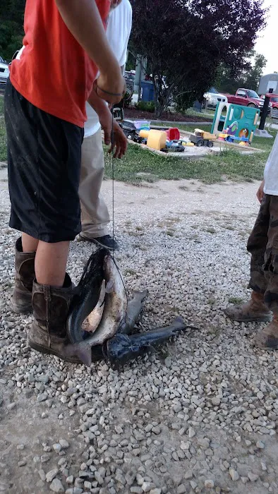 Wild Cat Camping and Fishing Picture 7