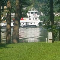 Lively Lady Landing Inc. ico