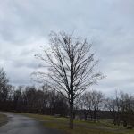 Rocky Fork Camp grounds
