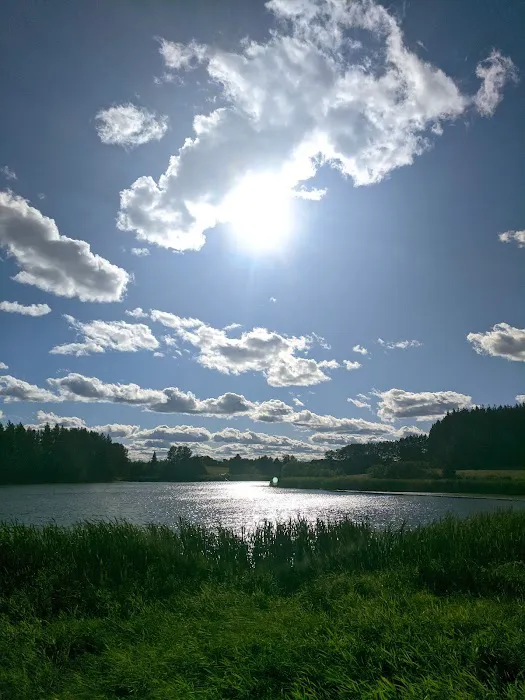 Trafton Lake Campground Picture 6