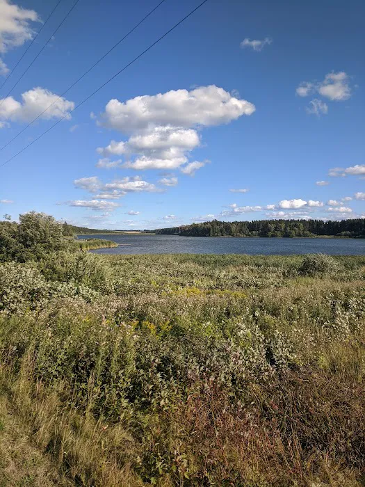 Trafton Lake Campground Picture 10