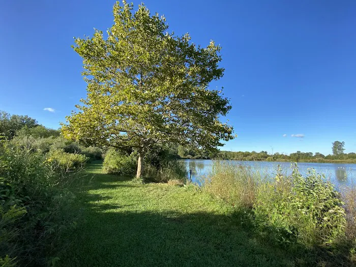 Maumee Bay State Park Campground Picture 5
