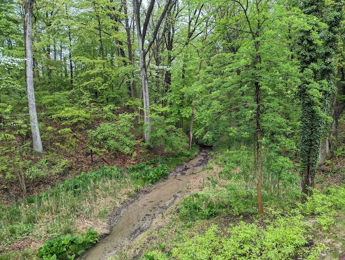 Camp Miakonda, Scouting America - Erie Shores Council Picture 8