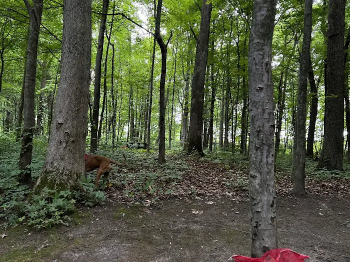 Oak Openings White Oak Campground Picture 9
