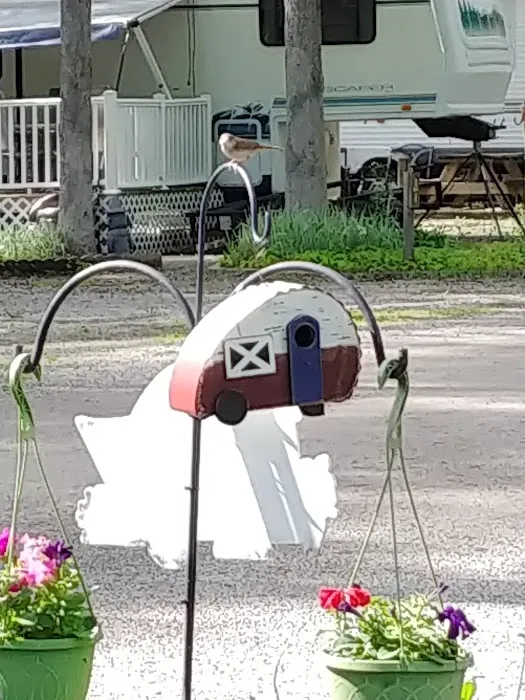 Twin Acres Campground Picture 6