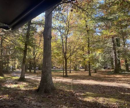 Blue Ridge Travel Park