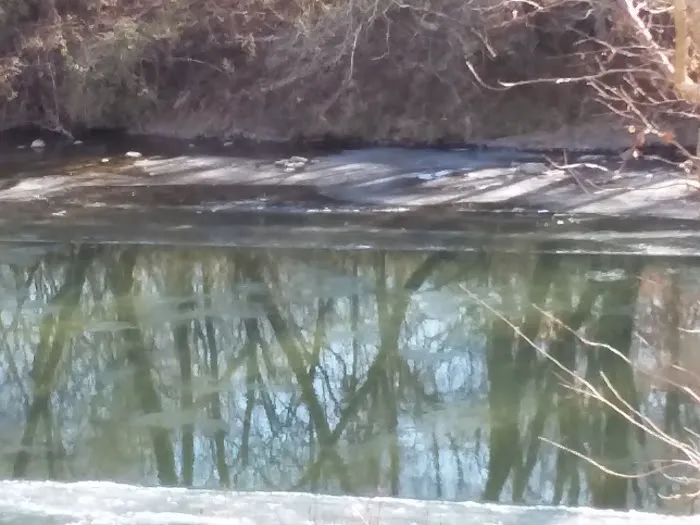 Mad Mama's River Run Campground Picture 10