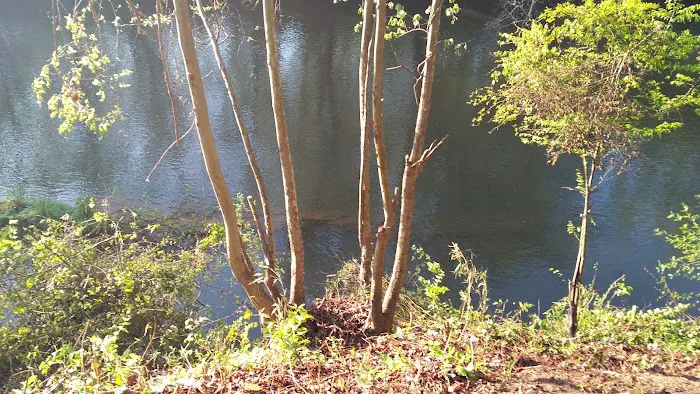 Mad Mama's River Run Campground Picture 4
