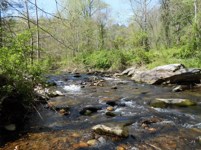 Mountain Stream RV Park Picture 8