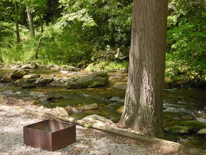 Mountain Stream RV Park Picture 2