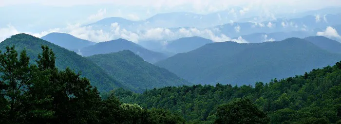 Mountain Stream RV Park Picture 3