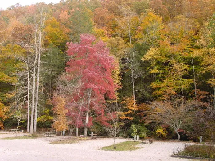 Mountain Stream RV Park Picture 9