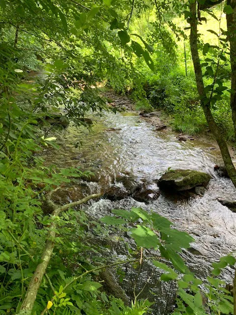 Mountain Retreat Picture 4