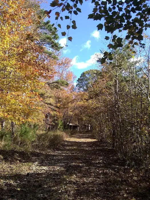 Cotton Patch RV Campground Picture 6
