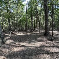 Lake Norman State Park Group Camp Sites ico