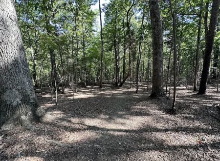Lake Norman State Park Group Camp Sites