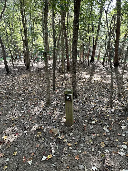 Lake Norman State Park Group Camp Sites Picture 2