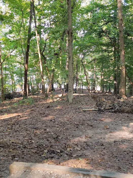 Lake Norman State Park Campground Picture 10