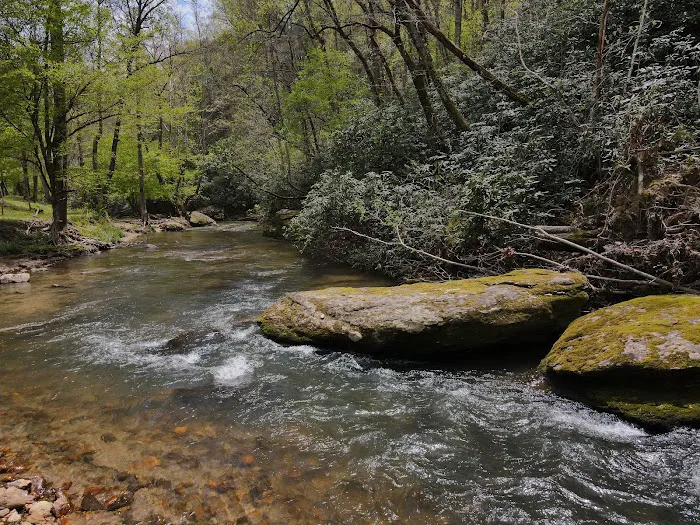 Stoney Fork Campground Picture 3