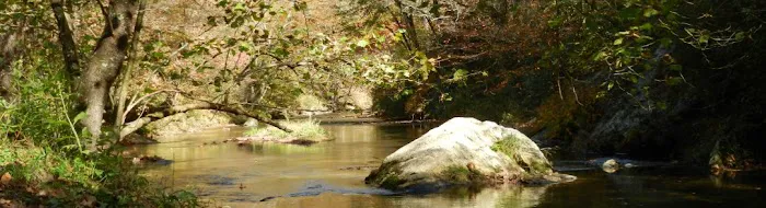 Stoney Fork Campground Picture 2