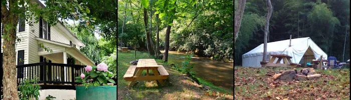 Stoney Fork Campground Picture 4