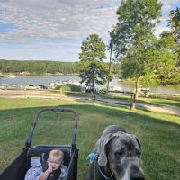 Wildlife Woods Campground ico