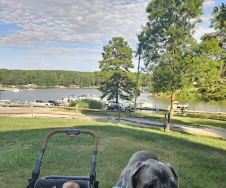 Wildlife Woods Campground