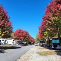 Lakewood RV Resort ico