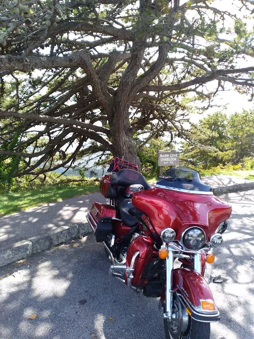Rider's Roost Motorcycle Resort, Inc Picture 5