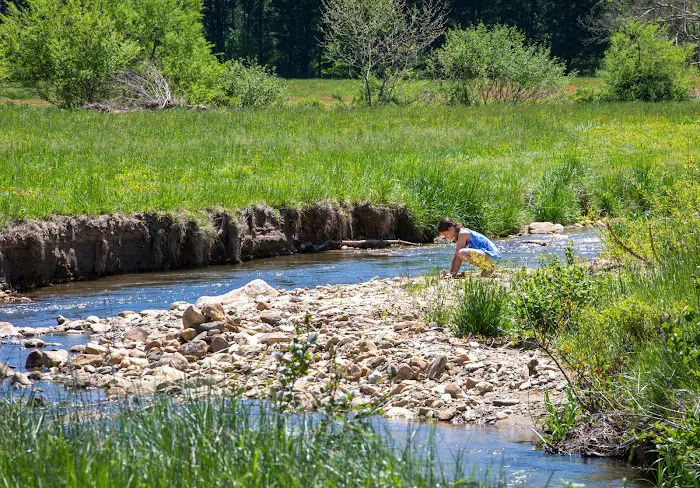 Blue Ridge Ranch Picture 7