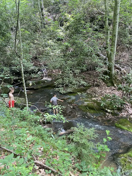 Blue Ridge Ranch Picture 10