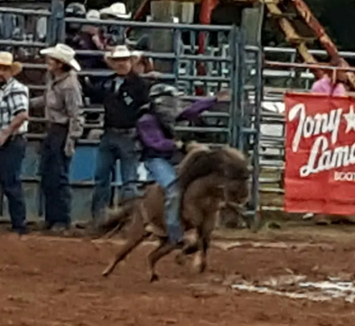 Tough Enough Rodeo and Campground Picture 7