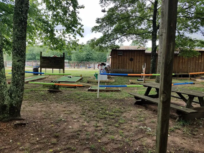 Tough Enough Rodeo and Campground Picture 2