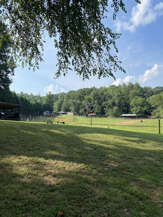 Indian Springs Campground Picture 3