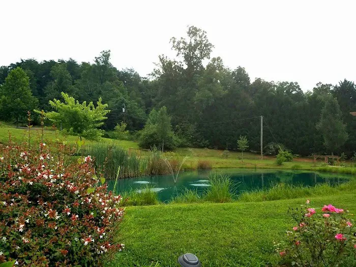 Indian Springs Campground Picture 8