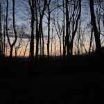 Abingdon Gap Shelter, Appalachian Trail