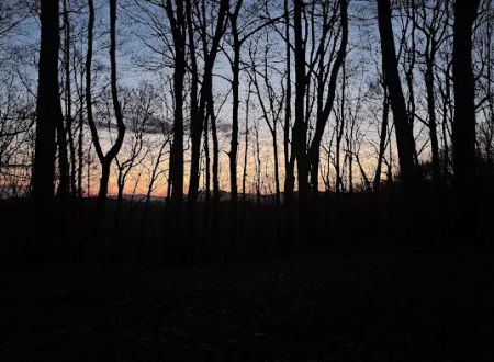 Abingdon Gap Shelter, Appalachian Trail