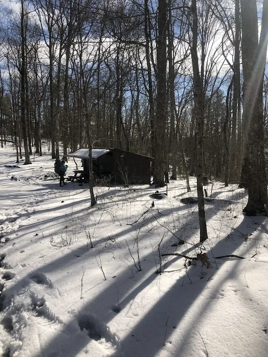 Abingdon Gap Shelter, Appalachian Trail Picture 3