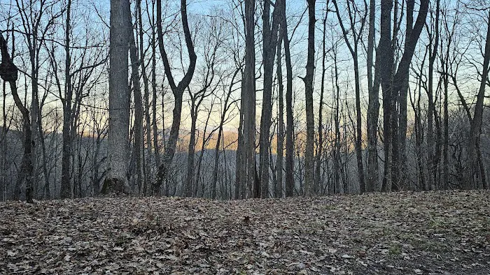 Abingdon Gap Shelter, Appalachian Trail Picture 2