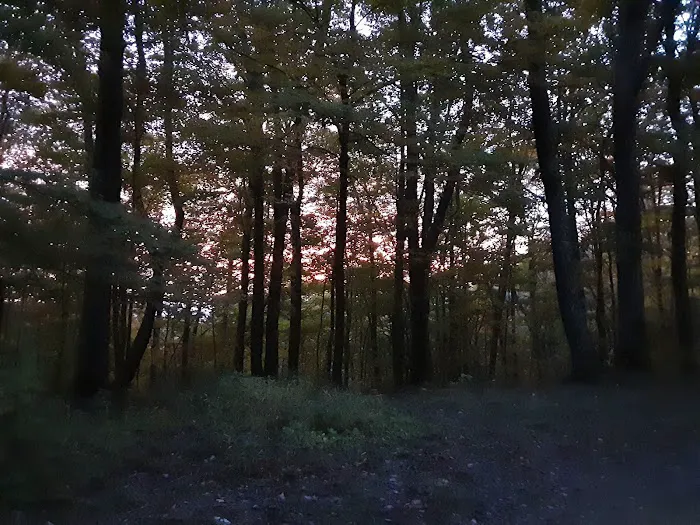 Abingdon Gap Shelter, Appalachian Trail Picture 9