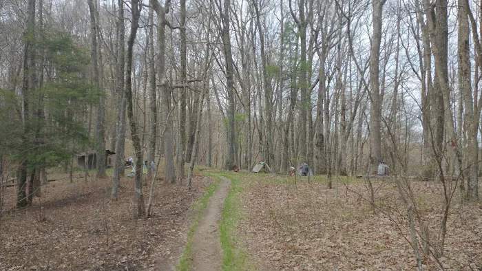 Abingdon Gap Shelter, Appalachian Trail Picture 8
