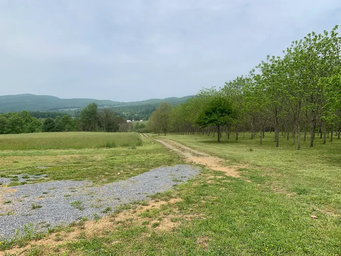 TriMountainView Campground Picture 6