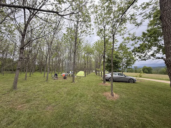 TriMountainView Campground Picture 9
