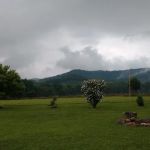 Switchback Creek Campground