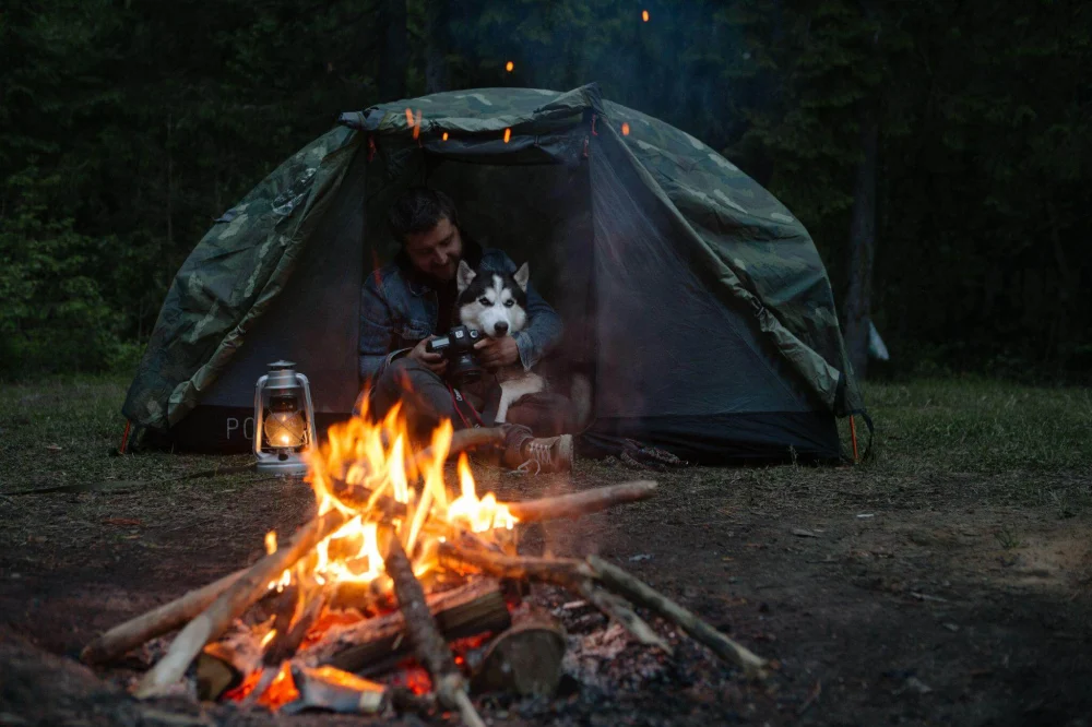 How to Deal with Wildlife Encounters Safely While Camping