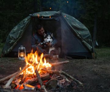 How to Deal with Wildlife Encounters Safely While Camping