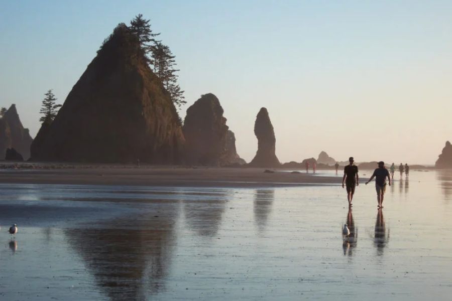 The Most Scenic Camping Spots in the Pacific Northwest
