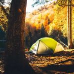 How to Keep Bugs Away While Camping