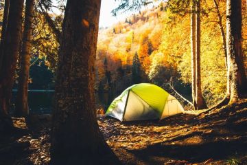 How to Keep Bugs Away While Camping