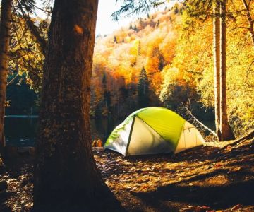 How to Keep Bugs Away While Camping